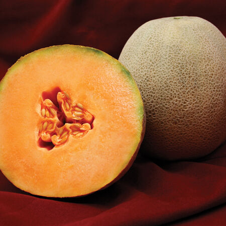 Avatar, (F1) Melon Seeds - Packet image number null